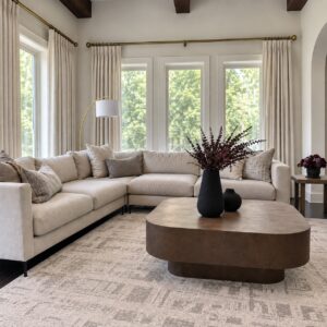 Modern neutral living room soft and cozt